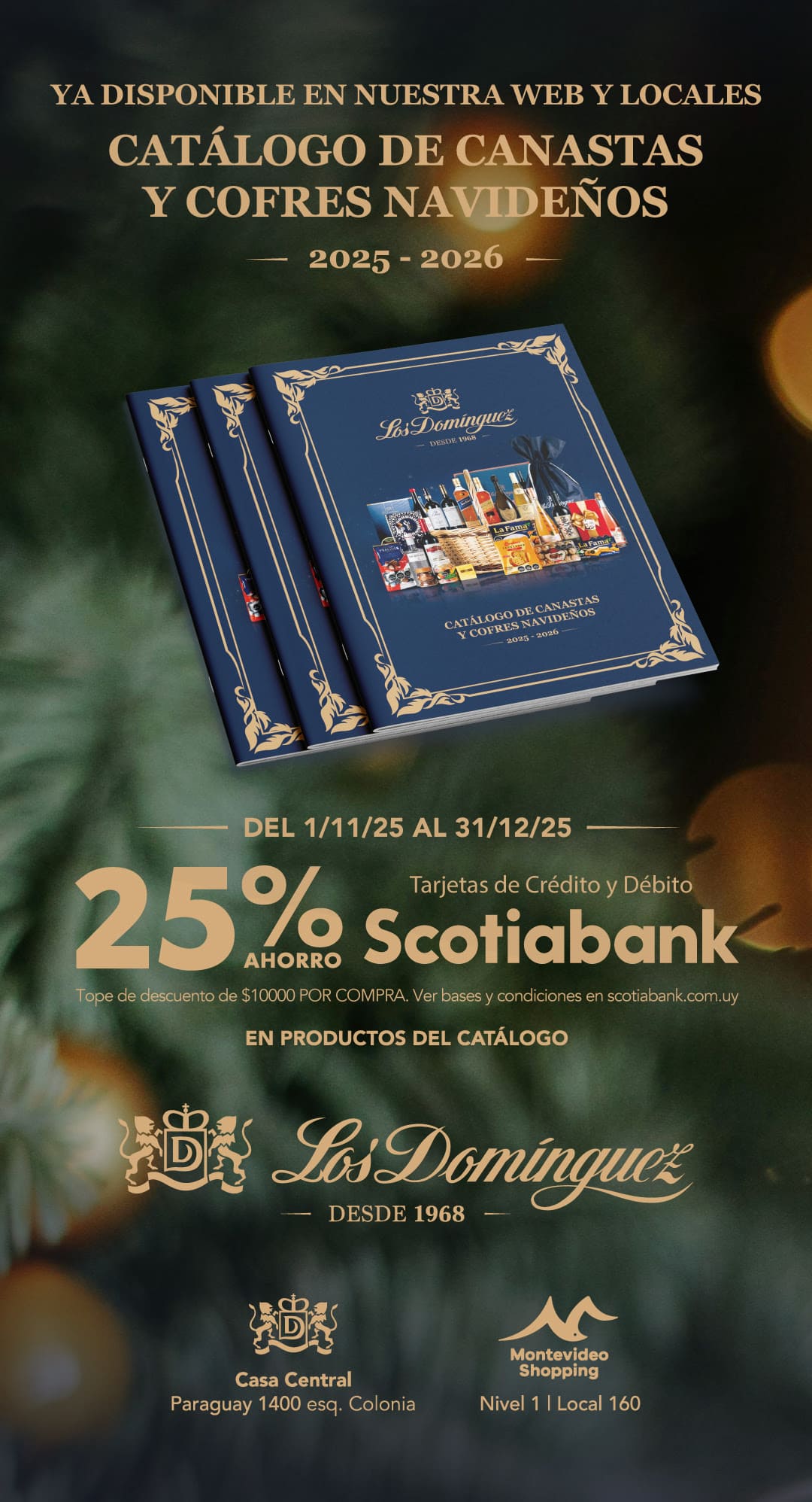 Catálogo Los Domínguez 2025-2026